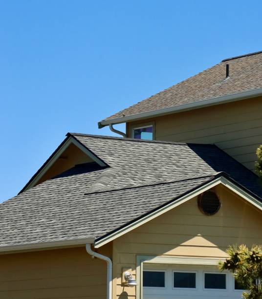 Best Gutter Installation and Repair  in Albany, MN